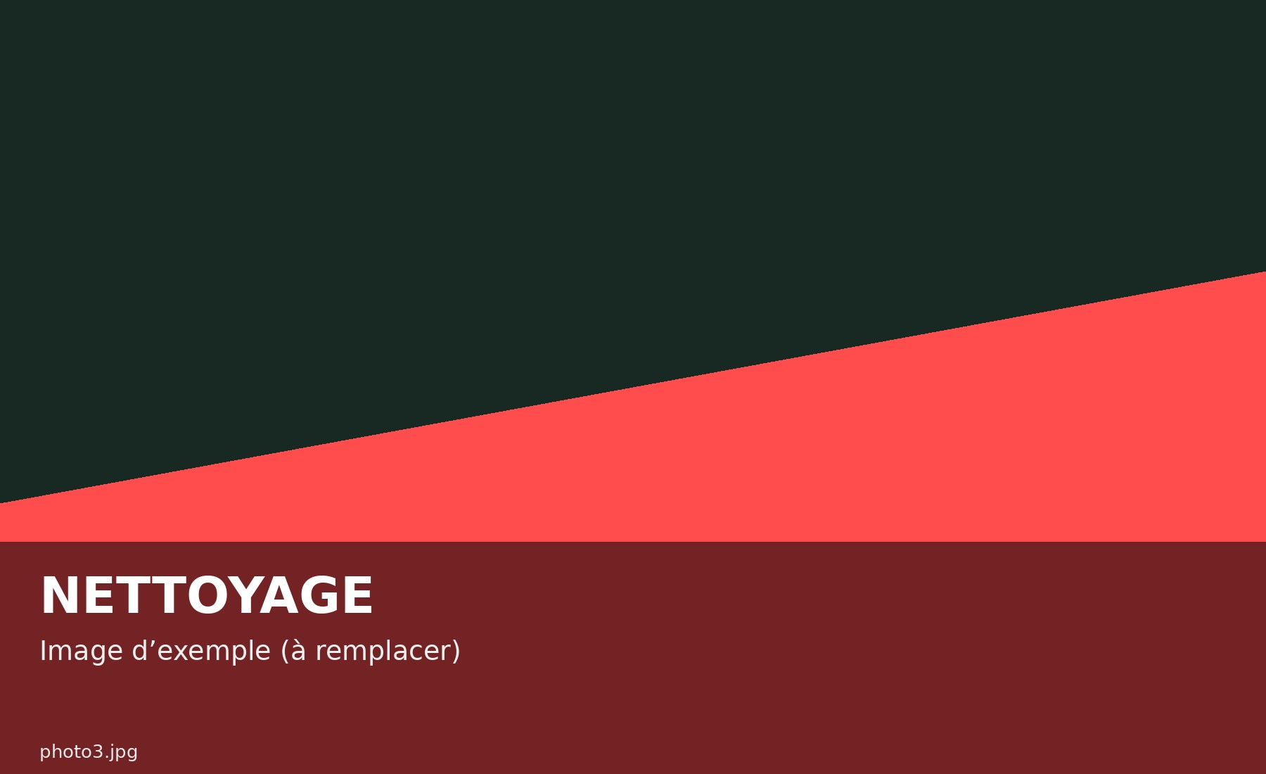 Nettoyage toiture (exemple)